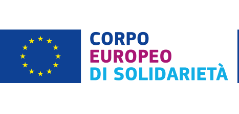 european solidarity corps it